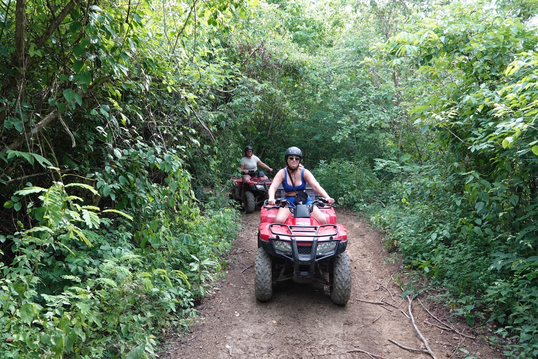 Visitantes en cuatrimoto cruzando un túnel verde de bosque seco en la reserva