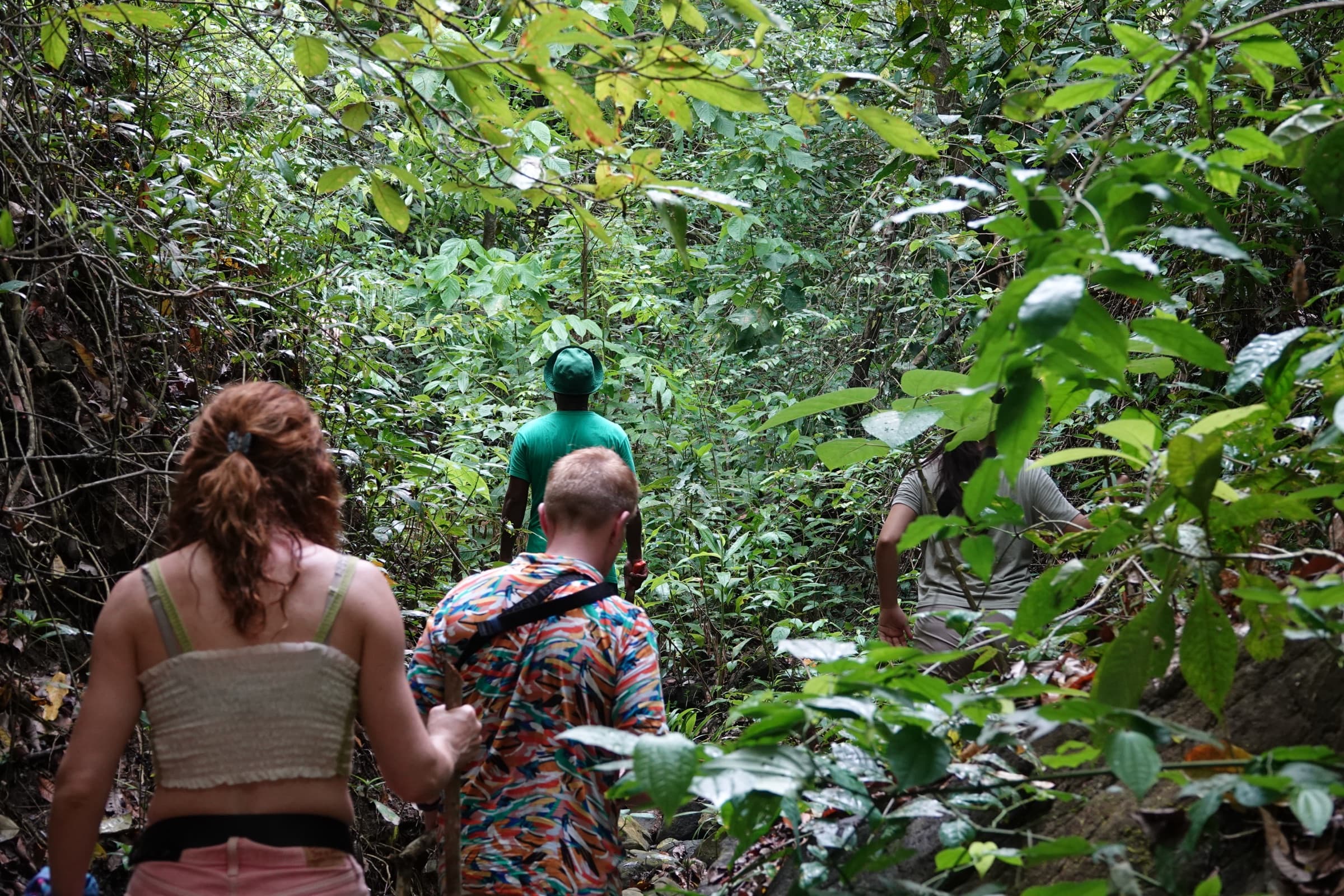 Hiking the tropical dry forest ridge at the reserve