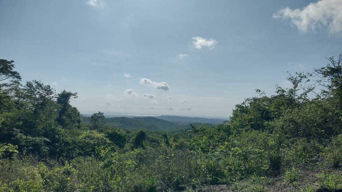 Trabajo de campo en el bosque seco tropical de Villanueva, Bolívar
