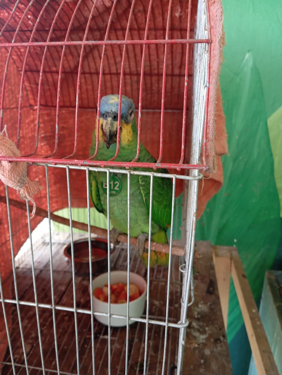 El B12 llegó con un ojo cerrado · 2