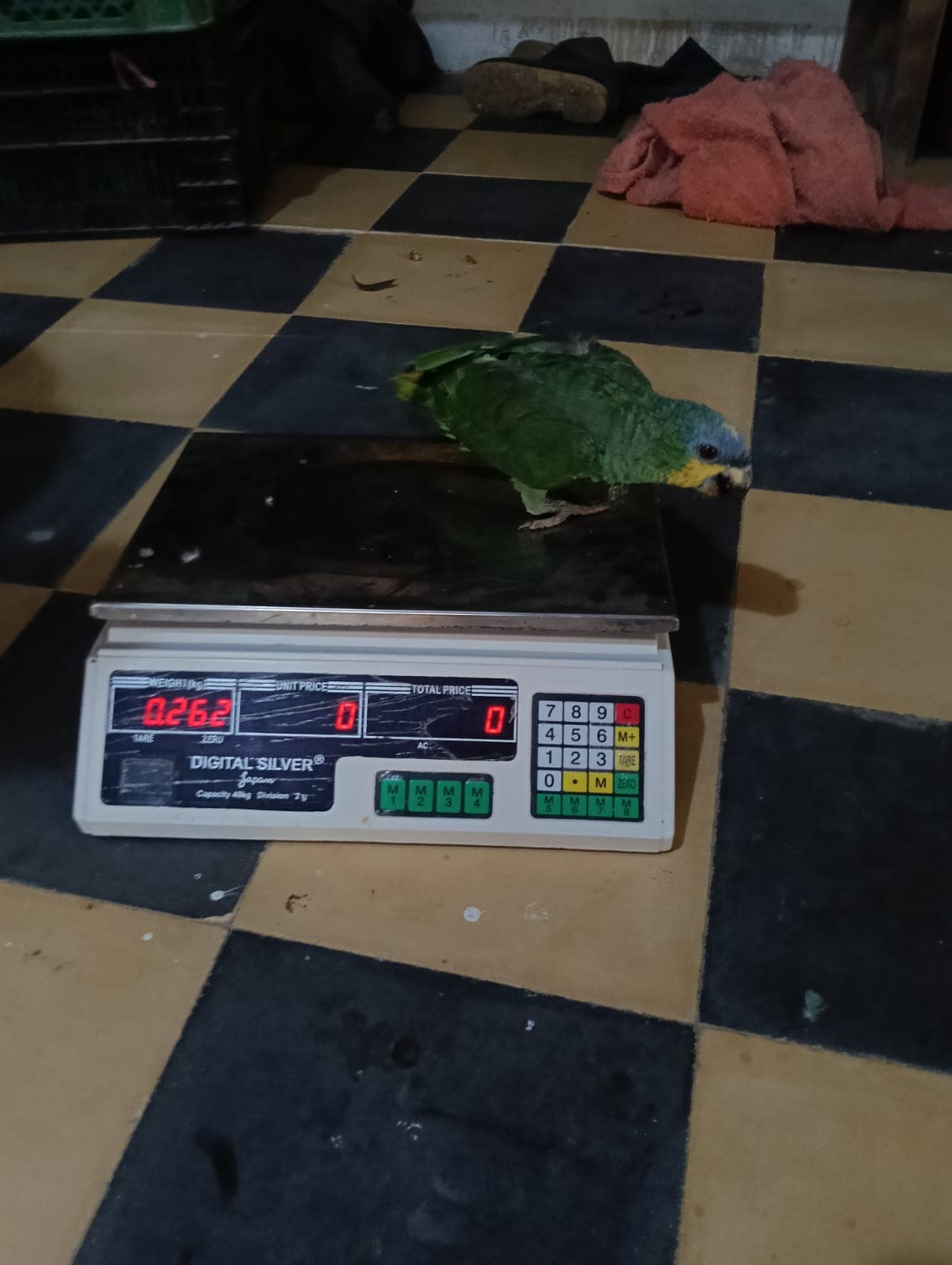 El B12 llegó con un ojo cerrado · 3