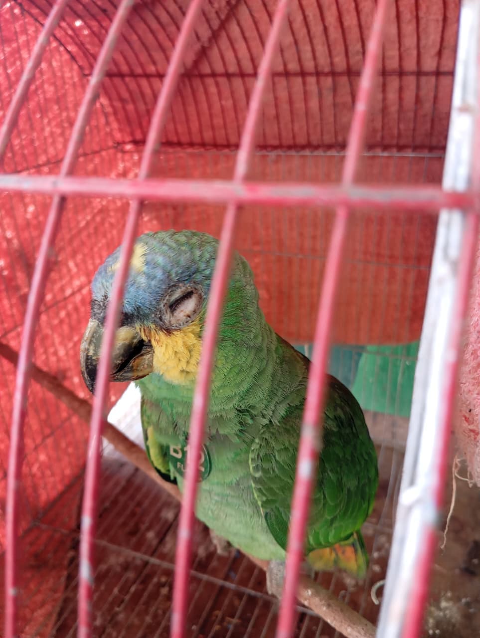 El B12 llegó con un ojo cerrado · 4