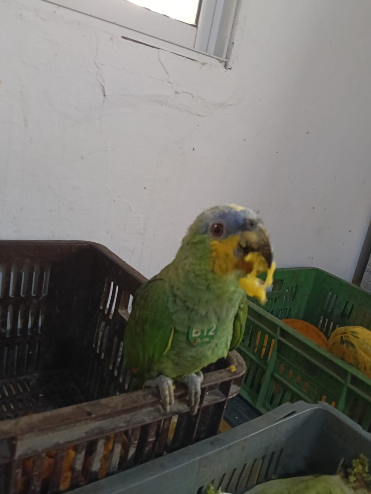 El B12 llegó con un ojo cerrado · 5