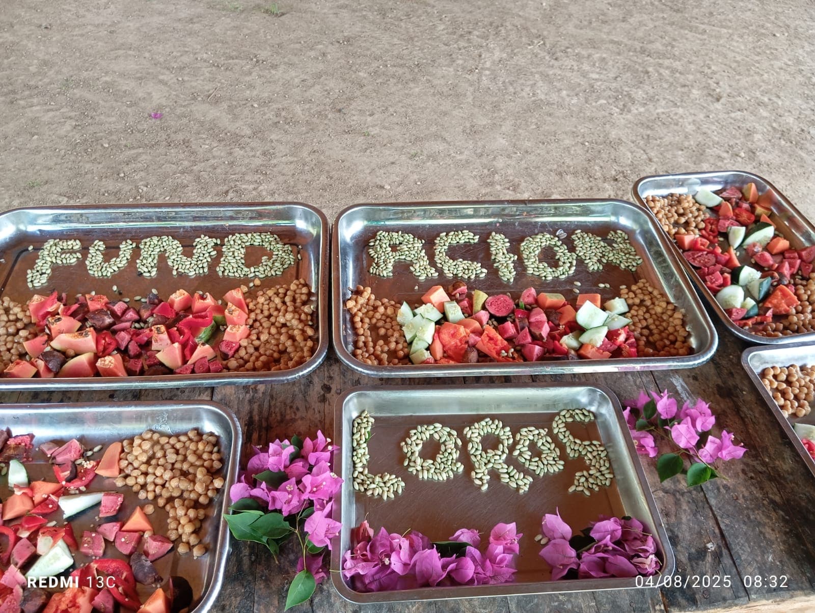 Frutas, flores y una jaula nueva en la reserva · 2