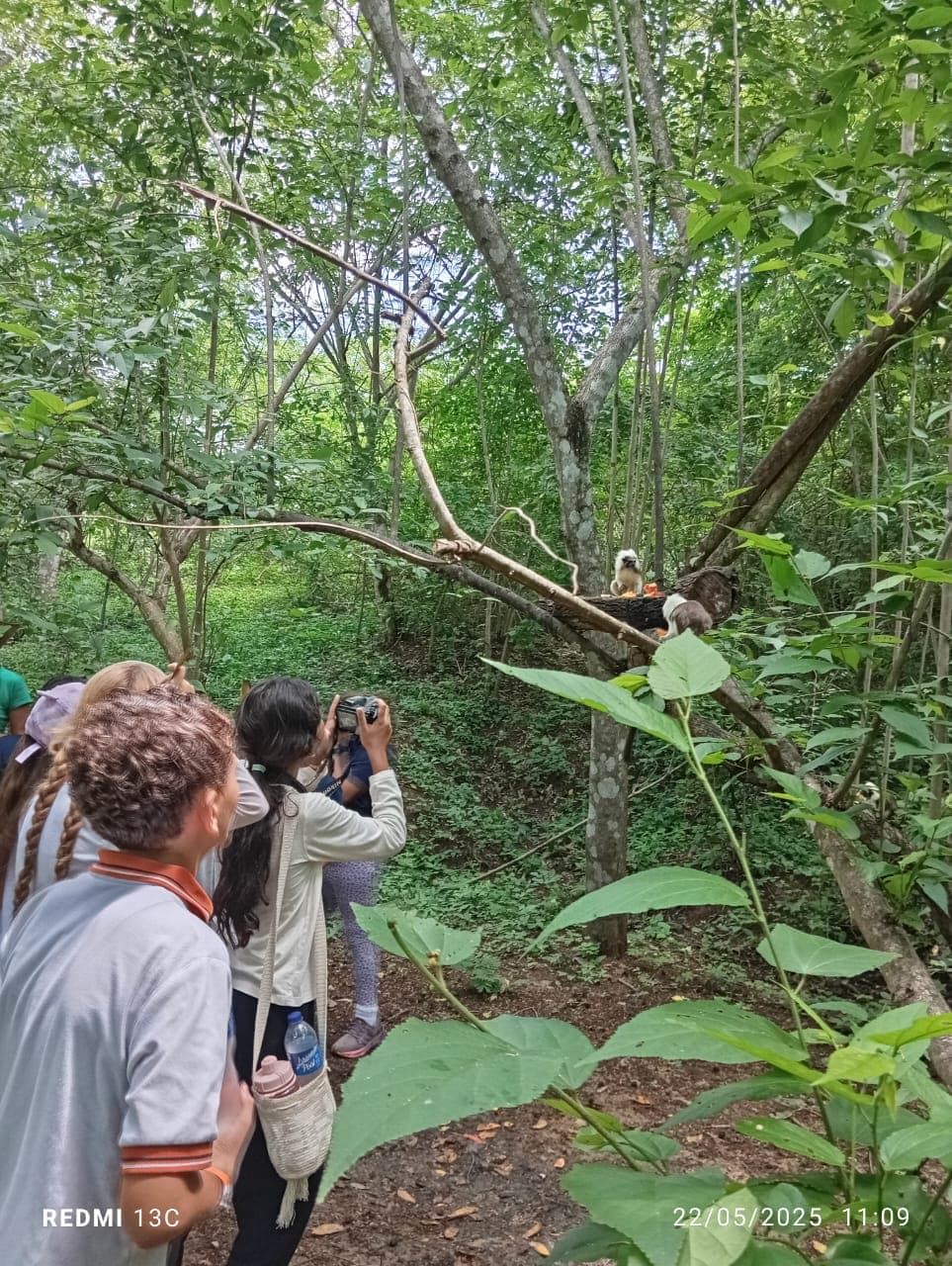 Frutas, flores y una jaula nueva en la reserva · 3