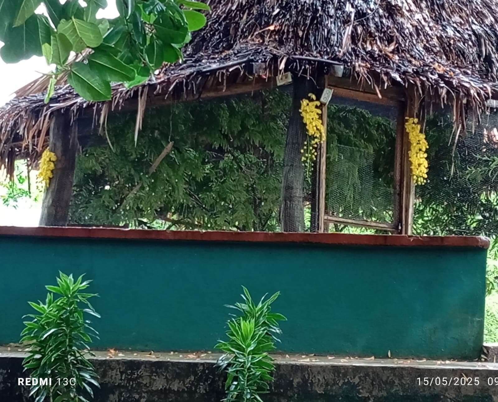 Frutas, flores y una jaula nueva en la reserva · 5