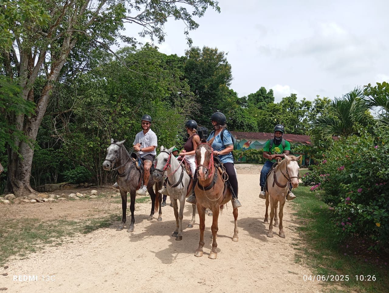 Frutas, flores y una jaula nueva en la reserva · 8