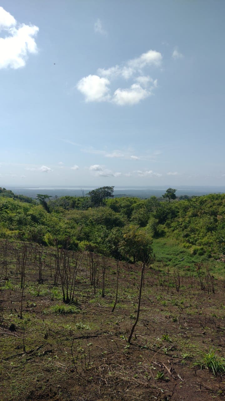 Vista aérea del santuario y las ciénagas circundantes