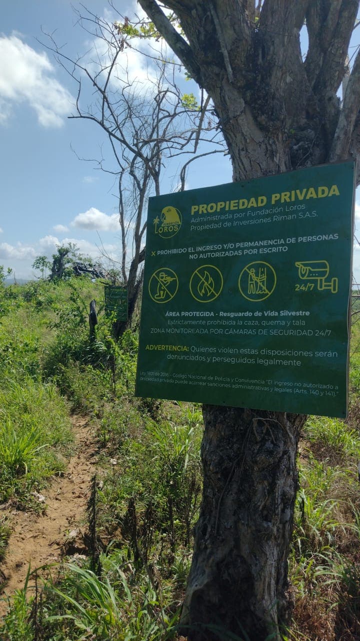 La manga del pueblo, under surveillance
