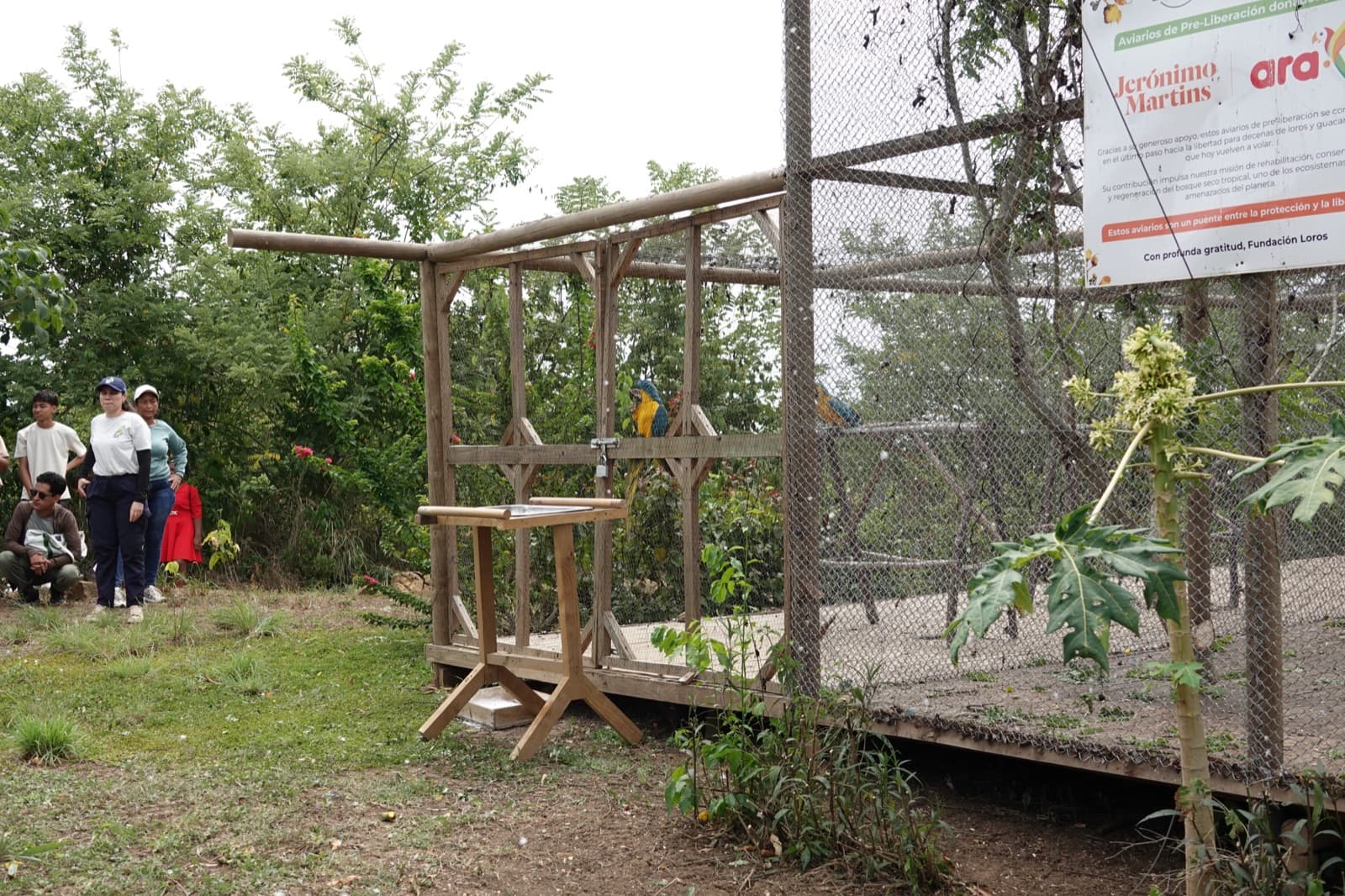 Aviario de vuelo para guacamayas construido con el apoyo de Tiendas Ara
