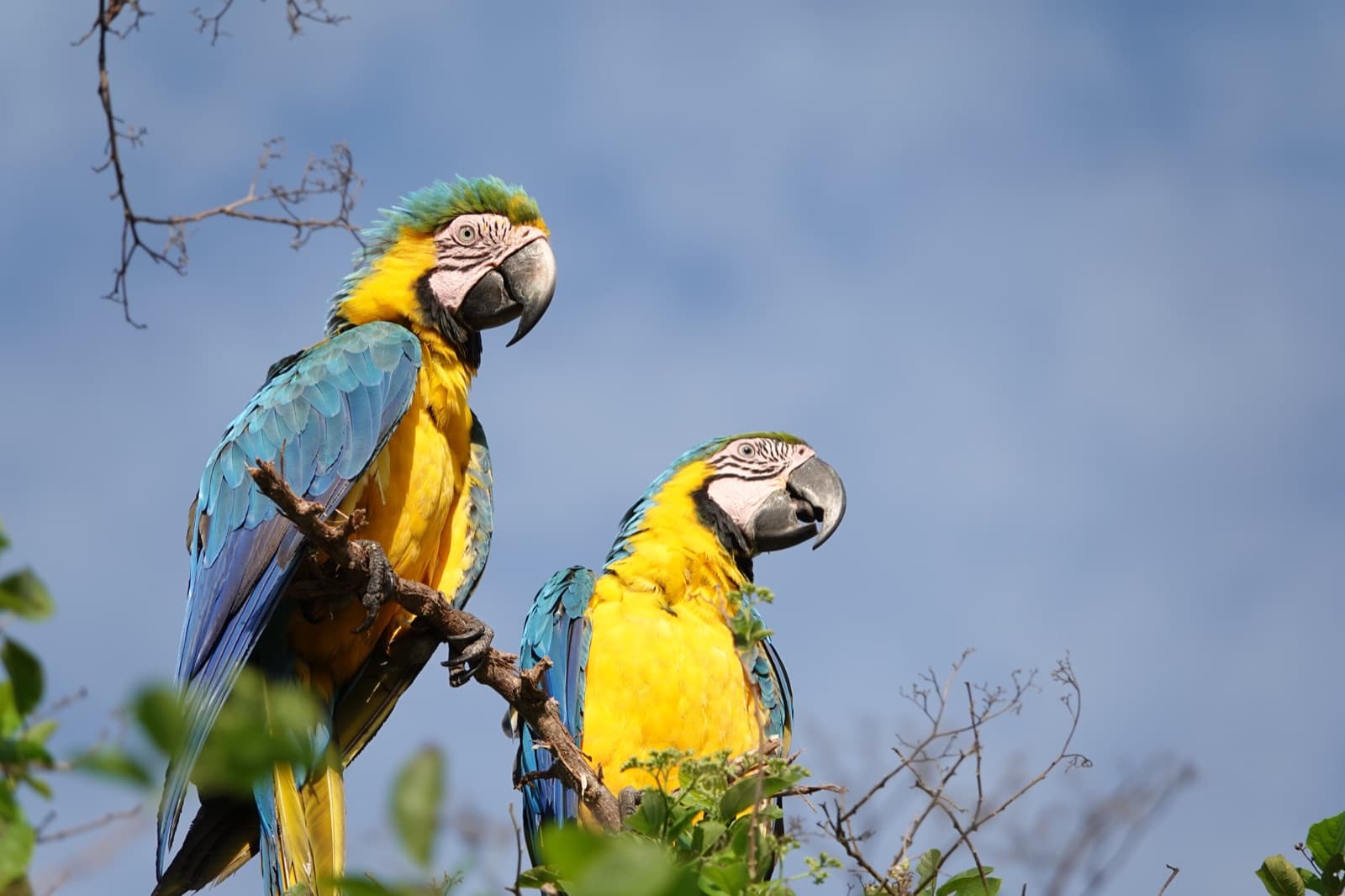 Equipo de una empresa sembrando y trabajando con las aves en la reserva