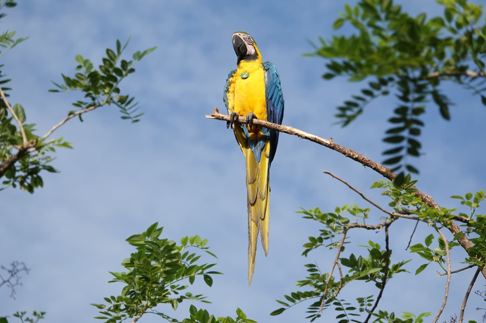 Participantes de la jornada corporativa en el bosque seco tropical