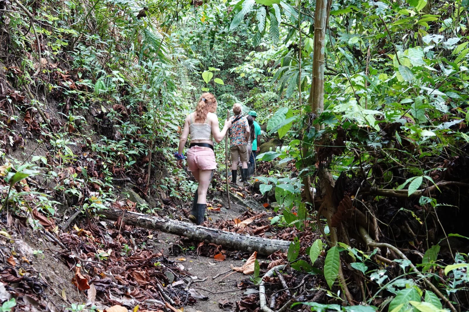 Caminante en el sendero del bosque seco de la reserva de Fundación Loros
