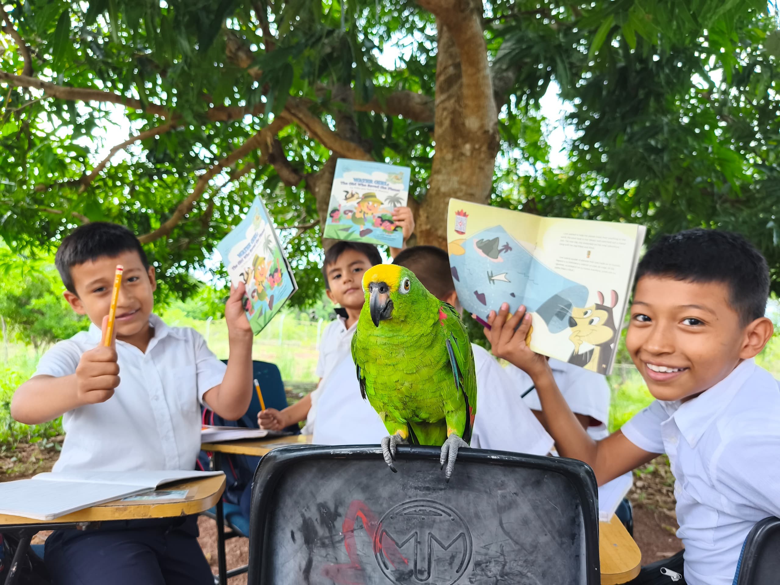 Lo que 234 loros nos enseñaron sobre cuidado, libertad y tráfico ilegal en Colombia