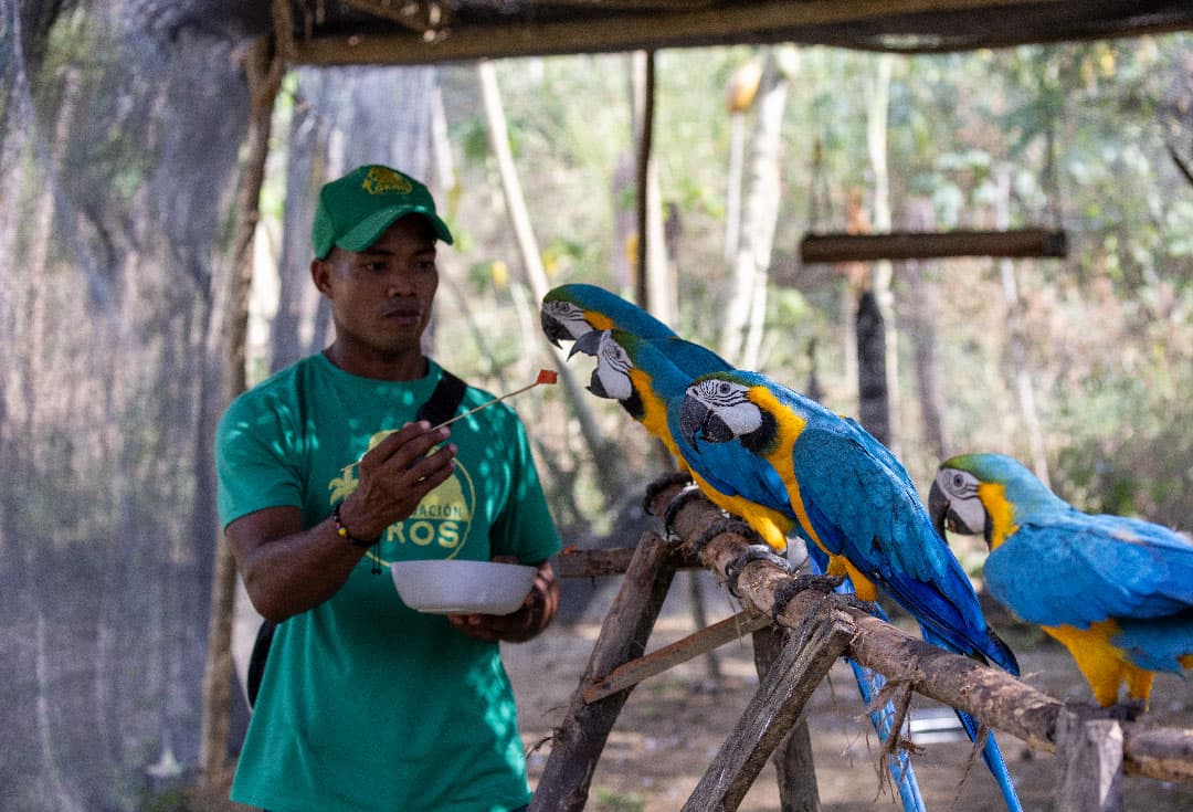 Heal Their Wings – Veterinary Support Fund 🩺🦜