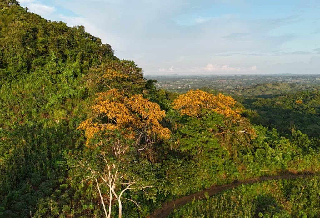Expedición Épica en ATV por las Montañas con Vida Silvestre cerca de Cartagena de Indias