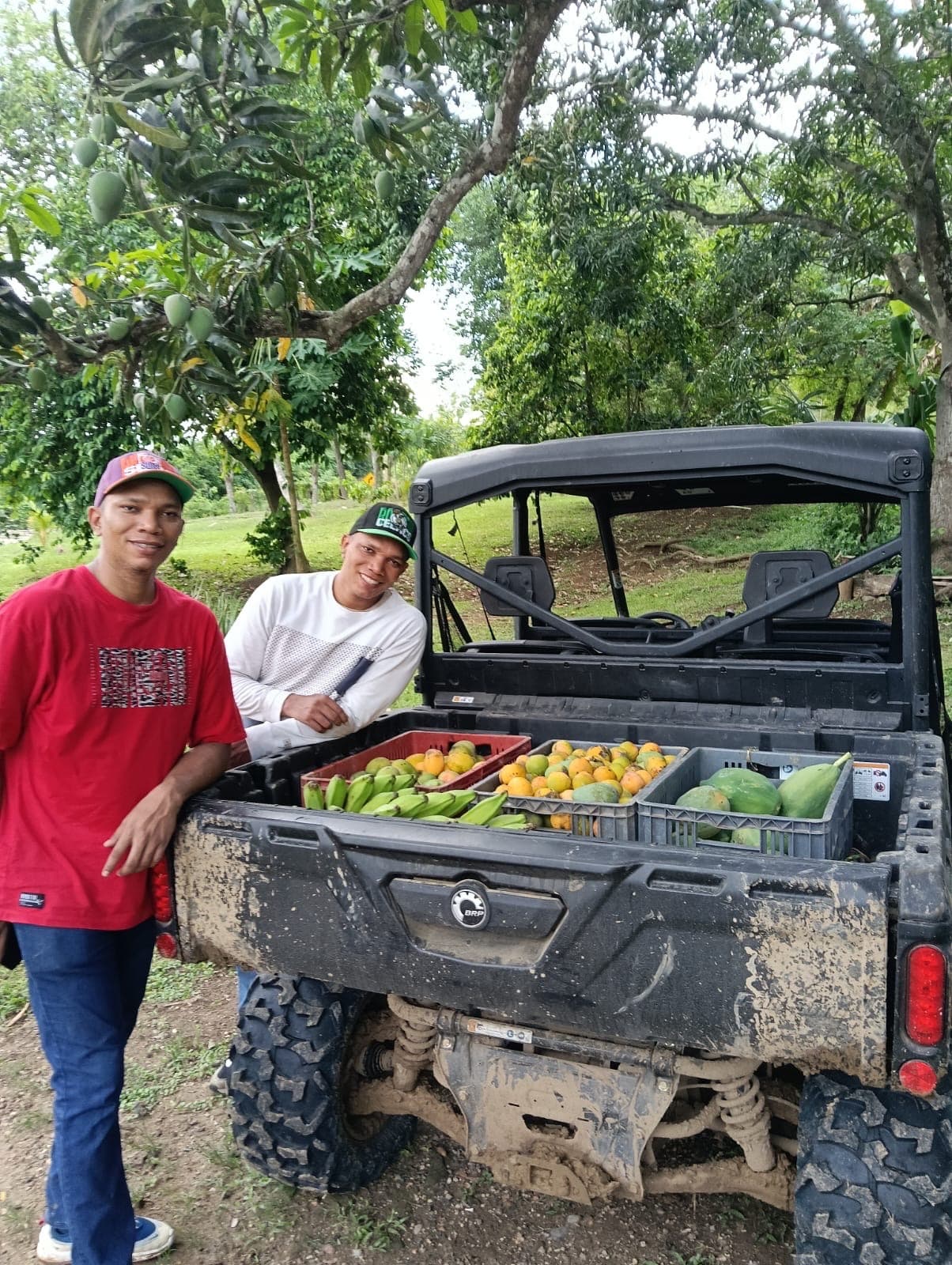 Guardias ambientales con la fruta y el alimento para las aves en rehabilitación.