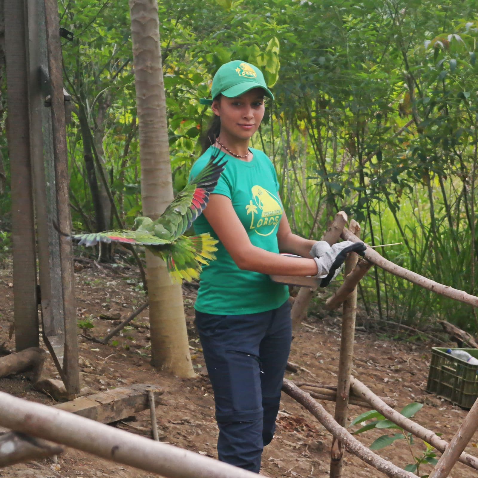 ¡Abre tus alas con nosotros! Programa de Voluntariado de la Fundación Loros